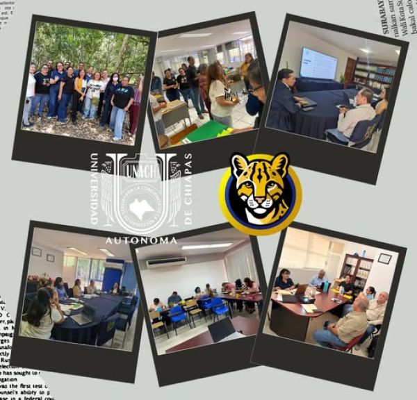 Se realizan diversas reuniones de trabajo en las diferentes regiones del Consejo Consultivo del Programa Institucional de Tutoría (PIT).
