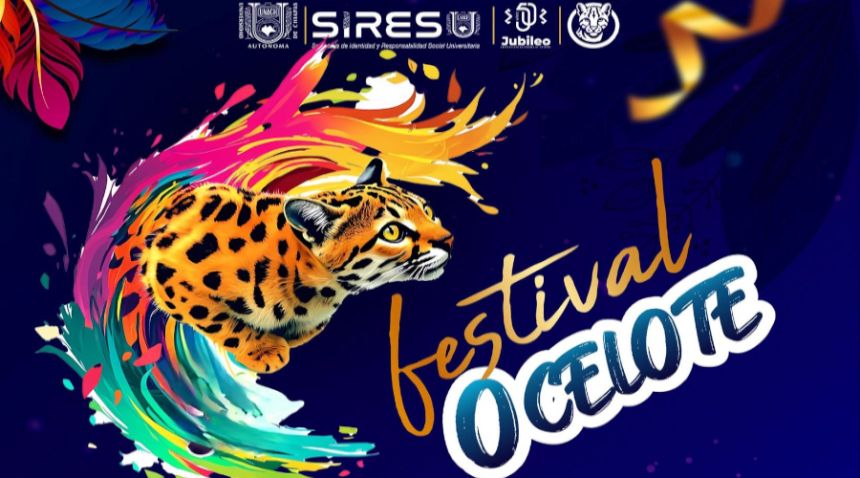 Festival ocelote